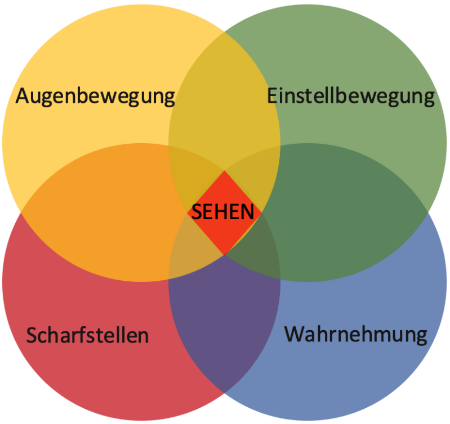 Sehtraining